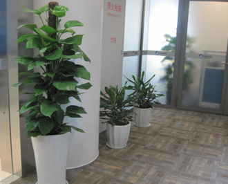 �����̻�����ֲ��